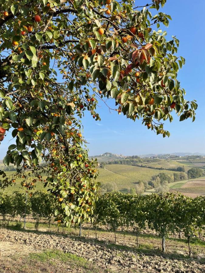 Locazione Turistica Cascina Pela Apartment Castagnole delle Lanze Luaran gambar