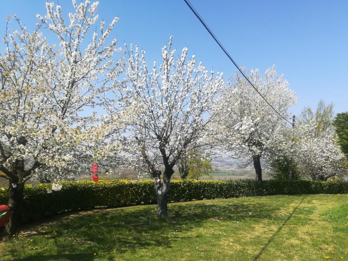 Locazione Turistica Cascina Pela Apartment Castagnole delle Lanze Luaran gambar